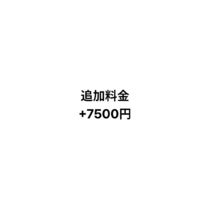 追加料金 +7,500円