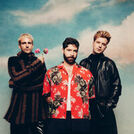 Foals