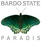 Bardo state