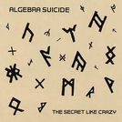 Algebra Suicide
