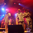 The Congos