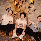 The Wombats