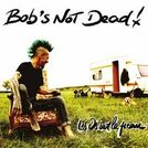 Bob\'s NoT Dead!