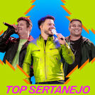 Top Sertanejo  | Mais Tocadas 2024​ | Hits 2024