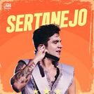 Top Sertanejo 2025 ⭐ Hits Sertanejos!