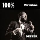 100% Marvin Gaye