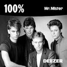 100% Mr. Mister