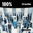 100% Stray Kids