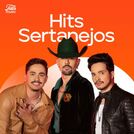 Hits Sertanejos 2025 | Sertanejo Mais Tocadas 2025