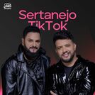 Sertanejo TikTok 2025 🔥 Atualizado!