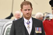 prince harry begged royal family postpone historic announcement 