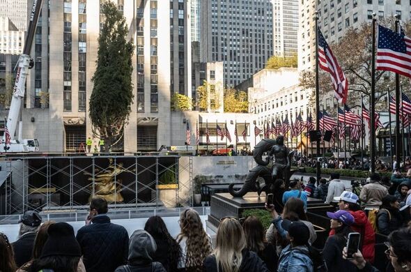 best-time-visit-rockefeller-christmas-tree-get-perfect-picture-see-decorations