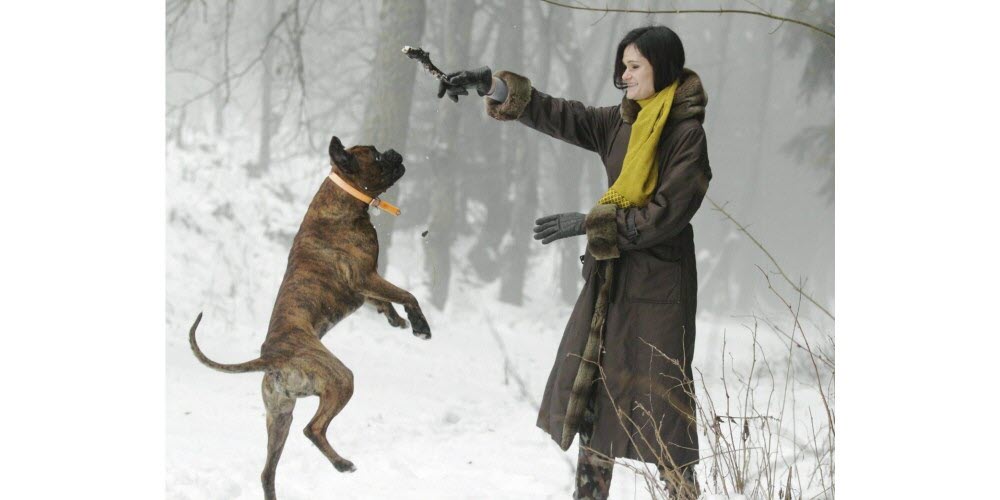 Moment de détente dans la forêt, avec Ghost, son boxer âgé de 2 ans. Photo Jean-Marc Loos