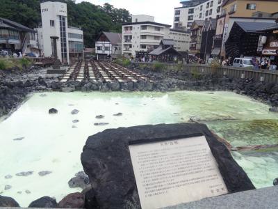 猫探し【群馬】草津温泉と谷川岳