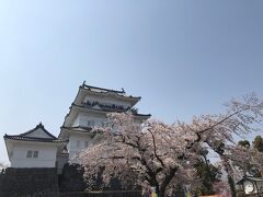 小田原おでんで花見と骨董市