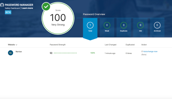 Norton Password Manager passwprd strength report overview.