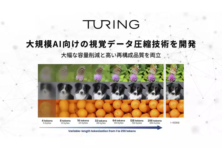 チューリング、大規模AI向けの視覚データ圧縮技術を開発