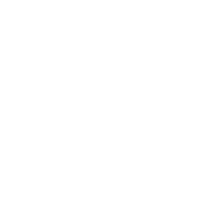 SGS logo