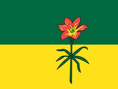 Saskatchewan provincial flag