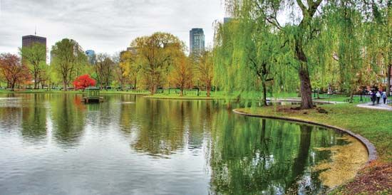 Boston Public Garden