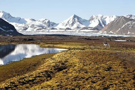 Svalbard, Norway