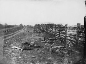 Battle of Antietam: Confederate dead