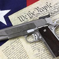 Gun and Constitution