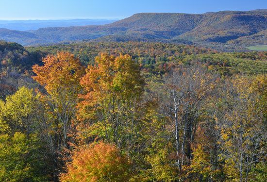 Allegheny Mountains