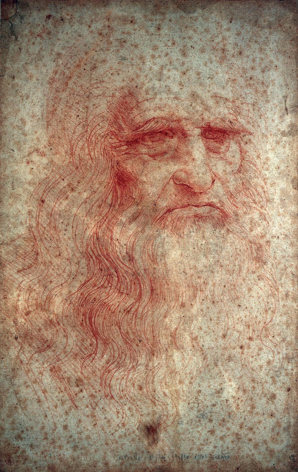 Self-portrait of Leonardo da Vinci in red chalk circa 1512-1515 in the Royal Library, Turin.