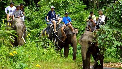 From hunter to protector in Thailand's Khao Sok National Park