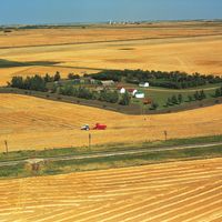 farm in Saskatchewan