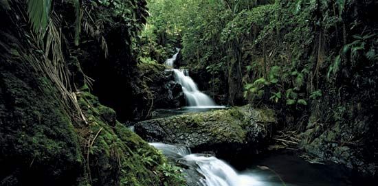 Hawaii: Onomea Falls