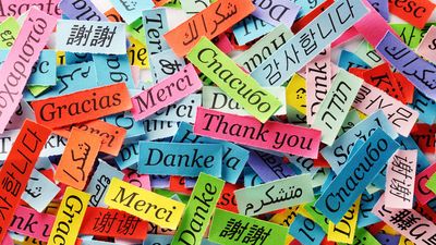 Many slips of paper with "thank you" in different languages written on them. Thumbnail for the Dutch, Yiddish, Japanese, or Hindi Quiz.