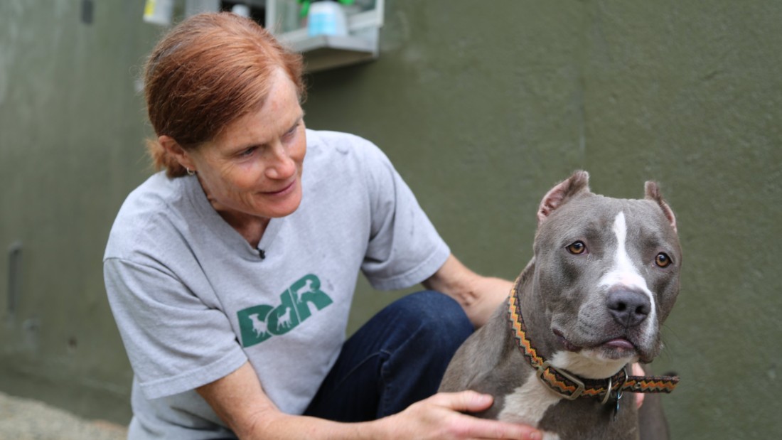 CNN Hero Lori Weise&#39;s organization tries to reach low-income families before they surrender their pets.  