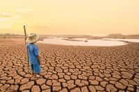 Parmi les missions du climatologue, anticiper les impacts du réchauffement climatique et de ses conséquences sur l’Homme et la nature. © piyaset, Fotolia.