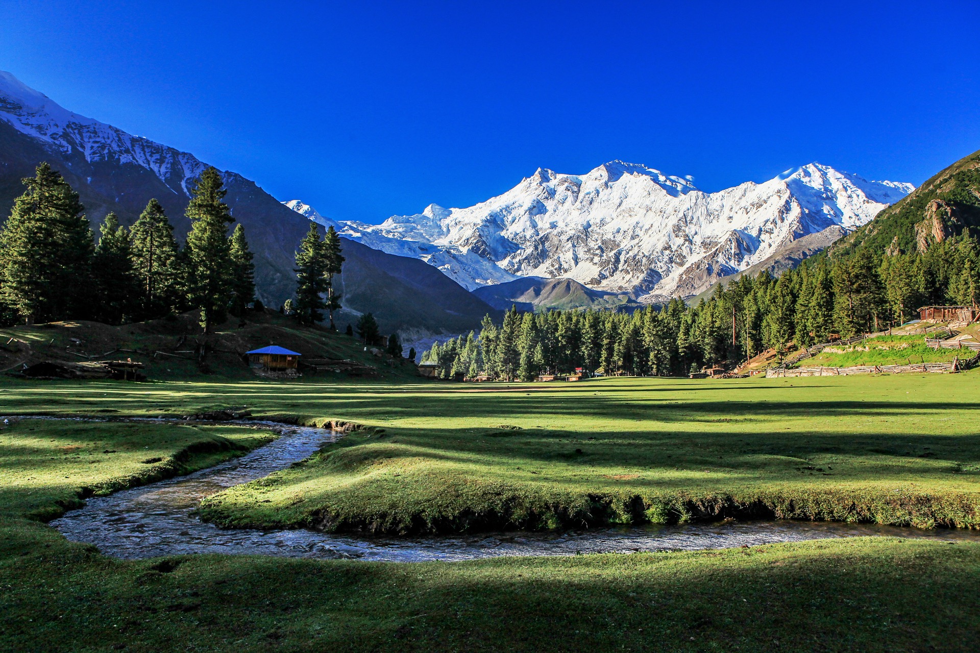 Pour la Journée mondiale de l'environnement, le Pakistan et son projet « tsunami d'arbres » sont à l'honneur. © Wit.Siri, Adobe Stock