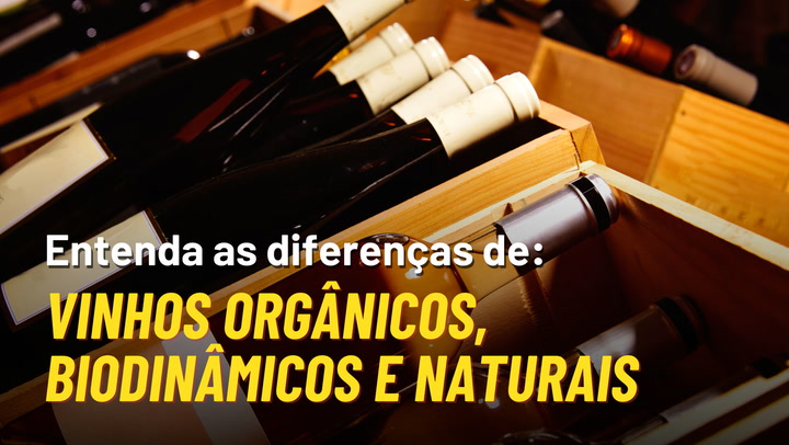 Thumbnail - O chef e sommelier Pedro Kucht explica o que são vinhos orgânicos, biodinâmicos, veganos e naturais