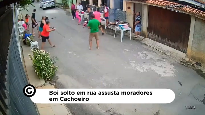 Thumbnail - Amigos têm hábito de fazer churrasco na rua e levaram um susto com o animal