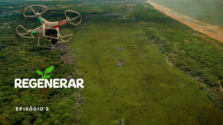 Thumbnail - Regeneração do parque atingido por incêndio contou com voos de drone, para monitoramento frequente e preciso, e com o cuidado diário de servidores estaduais