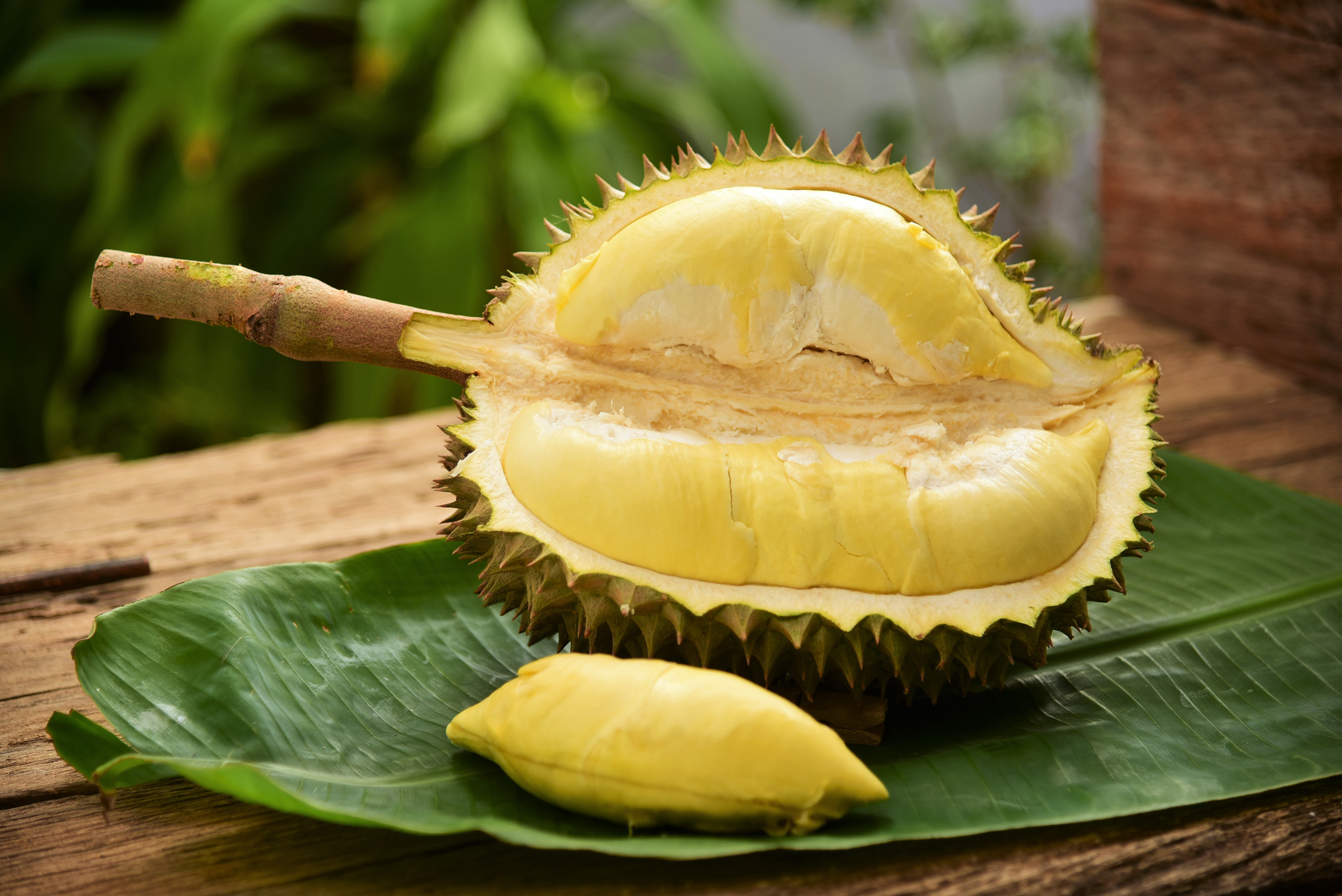 10 mouth-watering recipes with Durian