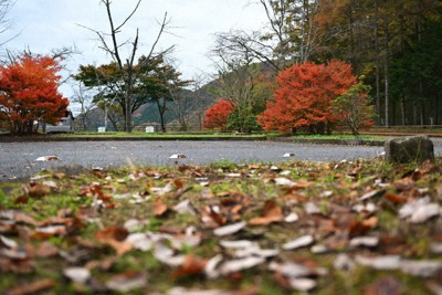 兄妹が最期を迎えた駐車場。「この選択しかなかった」。美里さんのスマートフォンには、そう打ち込まれていた＝東京都奥多摩町で2024年11月18日、手塚耕一郎撮影