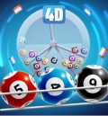 4D