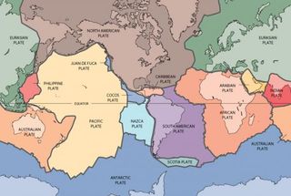The world's tectonic plates.