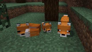 How to Tame a Fox in Minecraft