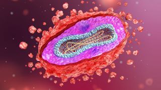 A digital illustration showing the ovular mpox virus filled with DNA