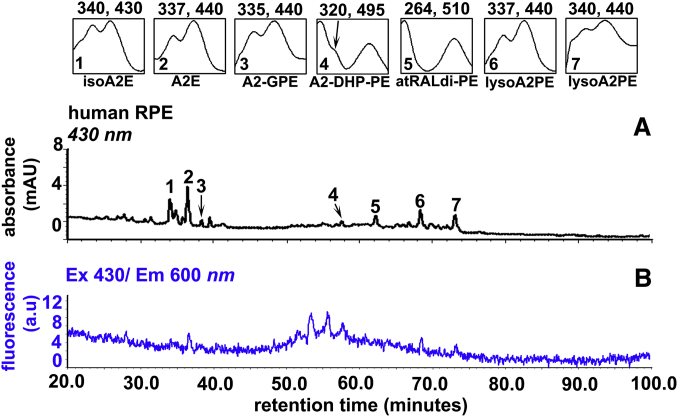 Fig. 4