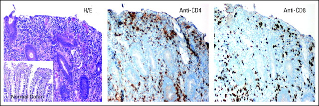 Fig A2.