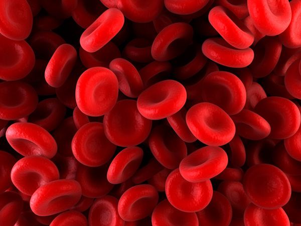 What Causes Hemophilia