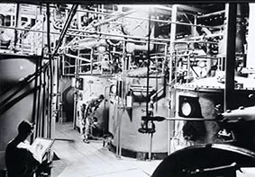 ascorbic acid being produced in a plant in 1936