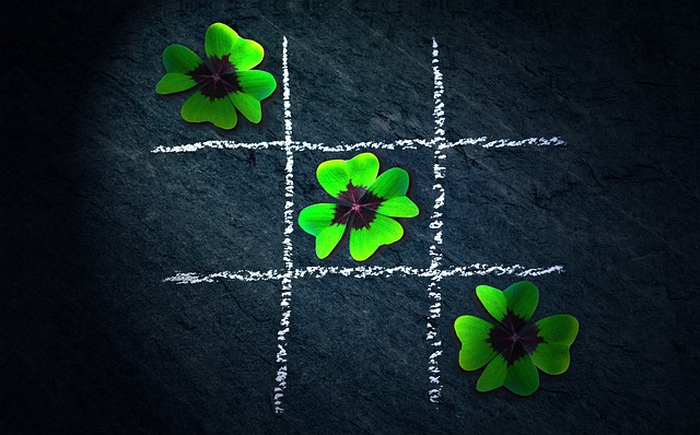 Free Clover Four Leaf Clover photo and picture